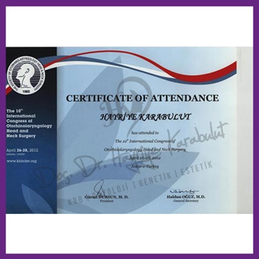 burun estetiği fiyatları